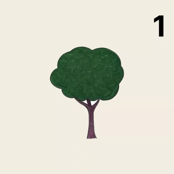 Baumpaket 1